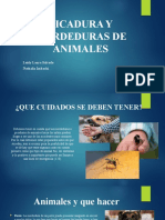 Picadura y Mordeduras de Animales