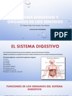 SISTEMA DIGESTIVO 2 Diap.