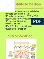 Pruebas de Salud Fetal