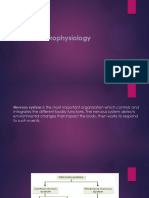 Neurophysiology 2