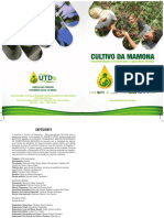 1cultivo Da Momona - Projeto UTDs