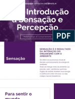 Uma Introdução À Sensação e Percepção