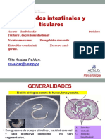 Clase07-Nematodos Tisulares