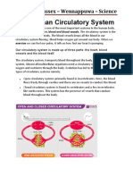 The Human Circulatory System: Grade 9 - Sussex - Wennappuwa - Science