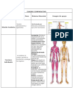 Cuadro Comparativo MFLG