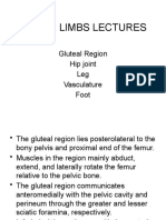 2018 Med. Students-Lower Limb Lect.