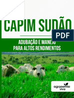 Bônus, Capim Sudão-Copiar