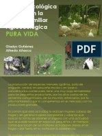 3 Granja Pura Vida