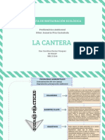 Tarea Problematica Ambiental