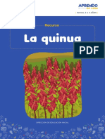 La Quinua