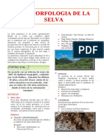 Geomorfología de La Selva para Quinto Grado de Secundaria