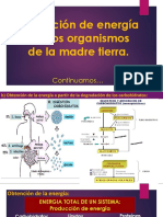 Degradación de Carbohidratos Lipidos y Proteinas