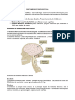 Sistema Nervoso Central