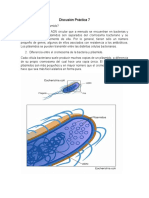 Discusión Práctica 7