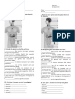 Endocrinequiz