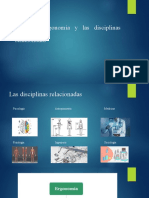 1.1.3 La Ergonomía y Las Disciplinas Relacionadas