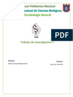 Investigación 1