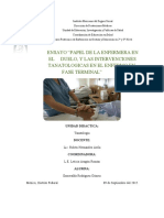 Ensayo Papel de La Enfermera en El Duelo, y Las Intervenciones Tanatologicas en El Enfermo en Fase Terminal