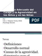 El Manejo Adecuado Del Coraje y La Agresividad