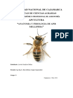 Anatomia y Fisiologia de Apis Mellifera