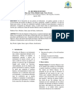 Informe de Laboratorio Mechero Bunsenn Universidad Del Atlantico