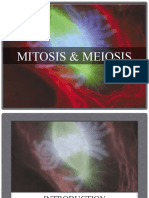 2 Mitosis and Meiosis