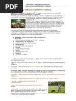 Educacion y Adiestramiento Canino