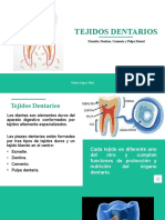 Tejidos Dentarios