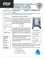 Lab# 7 - Perdida de Carga Menores o Locale