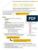 Aula 6 - Ham 5 - Síndromes Piramidais