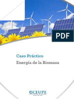 Caso - Practico - 4 Energia de La Biomasa