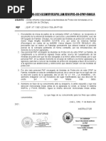 Informe Medidas de Proteccion Formato