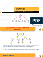 S4 - Diferencial Total y Regla de La Cadena