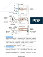 Degeneración y Regeneración