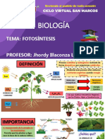 Biología - Fotosíntesis - Semestral SM