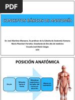 Conceptos Básicos de Anatomía