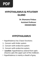 Hypothalamus & Pituitary Gland