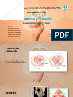 Cistocele y Rectocele