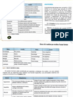 Anatomia, Fisiologia y Niveles de Organizacion Del Cuerpo