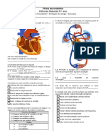 Revisoes S Circulatorio