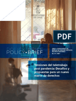 Policy Brief N1