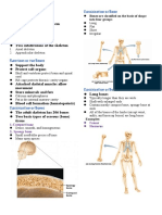 The Skeletal System