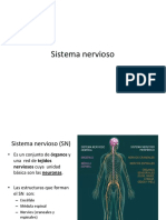 Sistema Nervioso