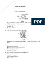 Exercise Cell Structure and Cell Organisation