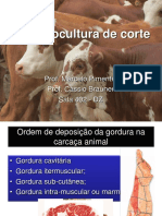 Bovinocultura de Corte Apostila