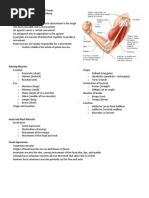 Muscles of The Head Neck and Trunk - Handouts