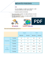 Determinante Posesivo