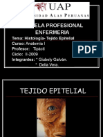 Tejido Epitelial