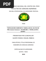 PDF Documento