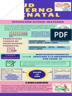 Salud Materno Perinatal